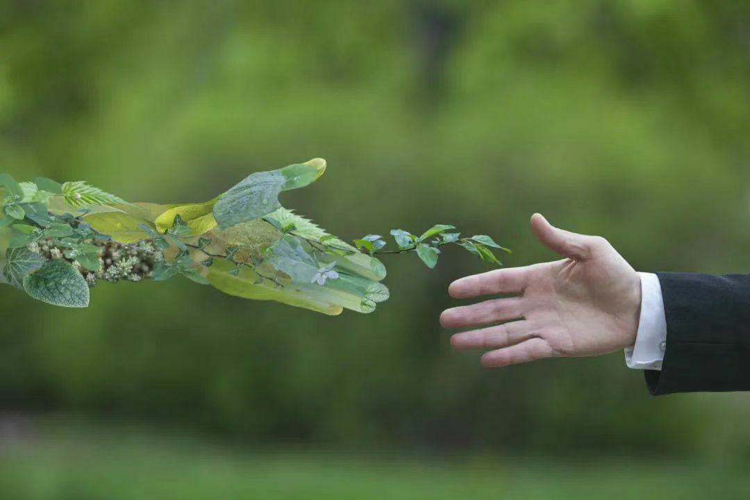 Renewable, degradable and DuPont SORONA series